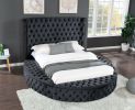 Hazel Queen Size Tufted Upholstery Storage Bed made with Wood in Black